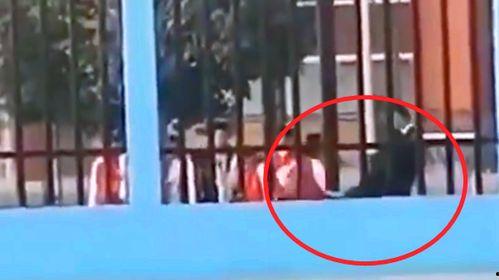 南华学校爆料视频最新,揭秘校园内幕