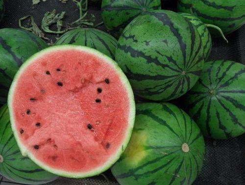 南北爆料社挑西瓜视频,揭秘挑西瓜视频背后的秘密与技巧