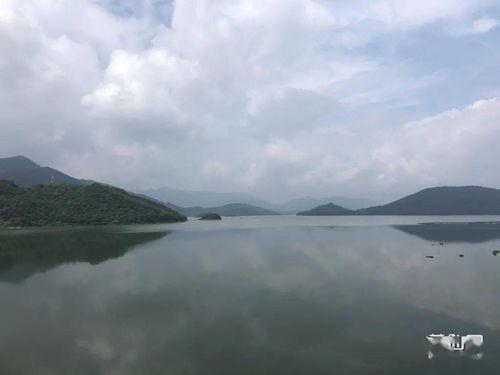 莆田水库爆料视频大全集,揭秘水库背后的故事与真相  第3张