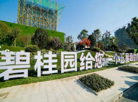 碧桂园爆料最新消息恒大,碧桂园独家爆料揭示发展新篇章”