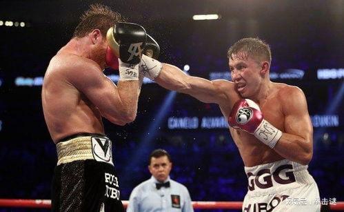 戈洛夫金最新爆料,最新爆料揭示拳击界惊人内幕