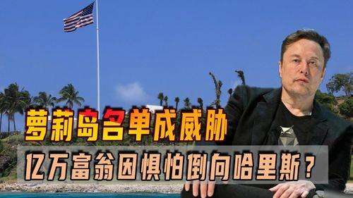 意大利亿万富翁爆料视频,视频曝光行业黑幕  第2张