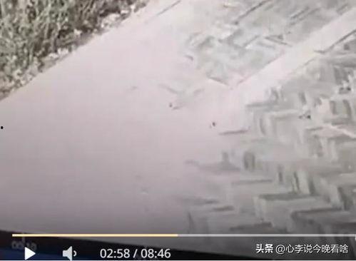 兰州老街吃瓜爆料视频,吃瓜爆料视频揭秘街头美食风情 第2张 兰州老街吃瓜爆料视频,吃瓜爆料视频揭秘街头美食风情 第2张