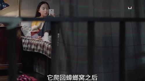 姐姐爆料的视频在哪看到,姐姐爆料视频背后的秘密，带你一探究竟  第2张