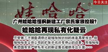 娃哈哈新闻爆料,揭秘企业内部变革与未来发展动向  第3张