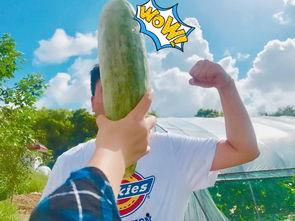 吃瓜网红微信,微信背后的娱乐帝国  第2张